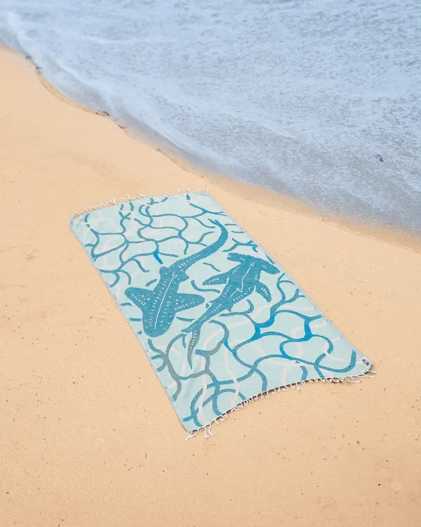 Finfish - MarAlliance | Sand Cloud - Image 4