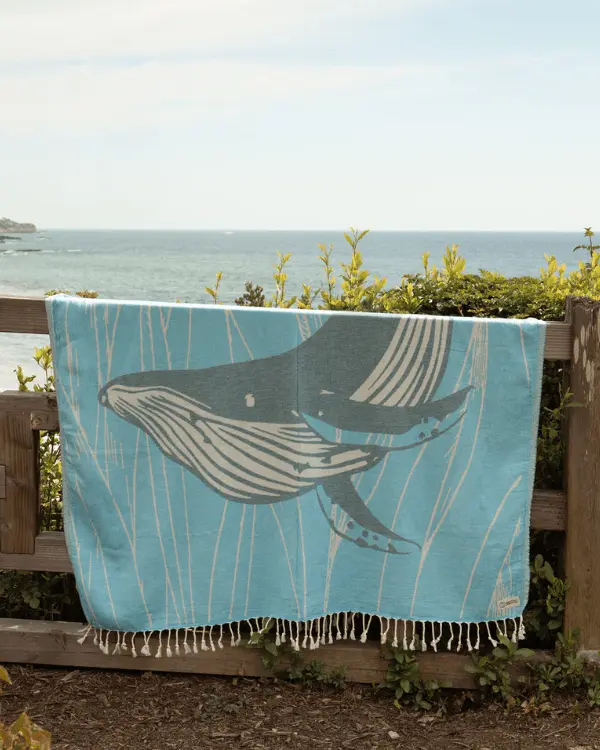 Whaley - Large | Sand Cloud - Image 4